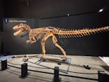 福井県立恐竜博物館に投稿された画像（2025/9/1）