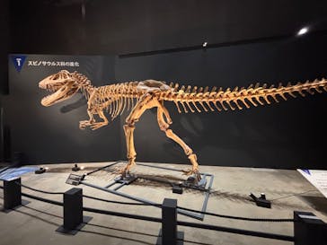 福井県立恐竜博物館に投稿された画像（2025/8/31）