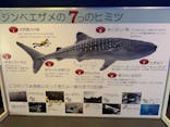 のとじま水族館に投稿された画像（2025/9/1）