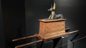 MYSTERY OF TUTANKHAMEN 体感型古代エジプト展に投稿された画像（2025/8/31）
