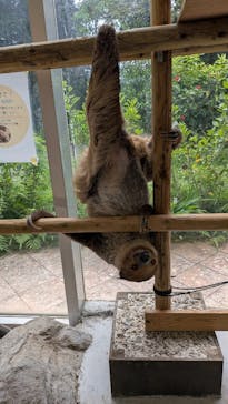 ネオパークオキナワに投稿された画像（2025/8/31）