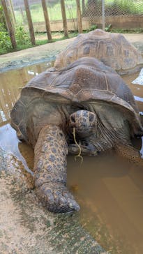 ネオパークオキナワに投稿された画像（2025/8/31）