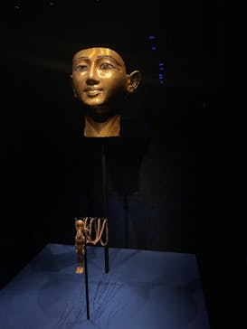 ACN ラムセス大王展 ファラオたちの黄金に投稿された画像（2025/8/31）