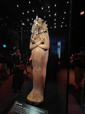 ACN ラムセス大王展 ファラオたちの黄金に投稿された画像（2025/8/31）
