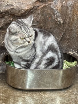 那須どうぶつ王国に投稿された画像（2025/8/31）