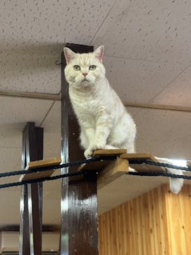 那須どうぶつ王国に投稿された画像（2025/8/31）