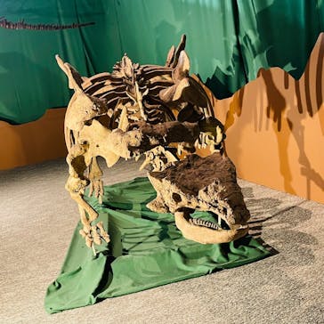 巨大恐竜展2025に投稿された画像（2025/8/31）