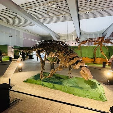 巨大恐竜展2025に投稿された画像（2025/8/31）