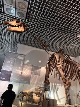 国立科学博物館に投稿された画像（2025/8/31）