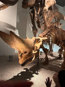 国立科学博物館に投稿された画像（2025/8/31）