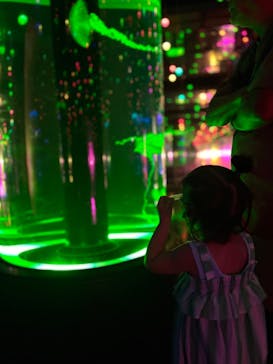 マクセル アクアパーク品川に投稿された画像（2025/8/31）