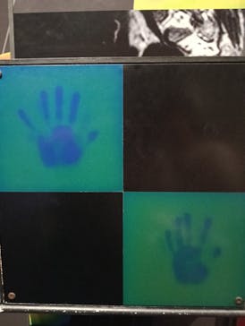 国立科学博物館に投稿された画像（2025/8/31）