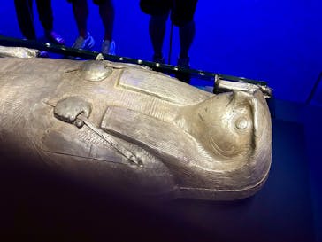 ACN ラムセス大王展 ファラオたちの黄金に投稿された画像（2025/8/31）