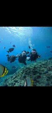 武藤潜水に投稿された画像（2025/9/1）