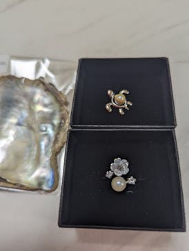 三重県真珠に投稿された画像（2025/9/1）