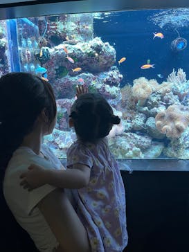 マクセル アクアパーク品川に投稿された画像（2025/9/1）