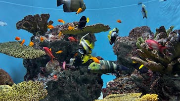 葛西臨海水族園に投稿された画像（2025/9/1）