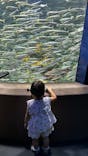 サンシャイン水族館に投稿された画像（2025/9/1）