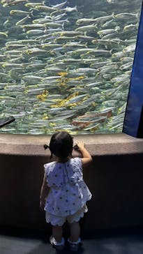 サンシャイン水族館に投稿された画像（2025/9/1）