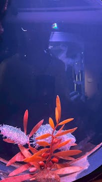 四国水族館に投稿された画像（2025/9/1）