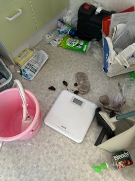 ひるがのピクニックガーデンに投稿された画像（2025/9/1）