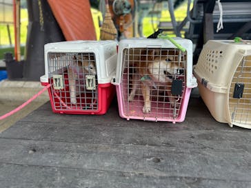 ひるがのピクニックガーデンに投稿された画像（2025/9/1）