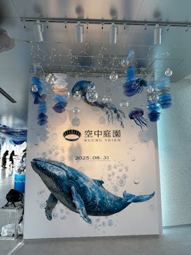 梅田スカイビル・空中庭園展望台に投稿された画像（2025/9/1）