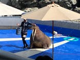 大分マリーンパレス水族館 「うみたまご」に投稿された画像（2025/9/1）