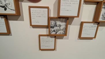 トーベとムーミン展～とっておきのものを探しに～ @森アーツセンターギャラリーに投稿された画像（2025/9/1）