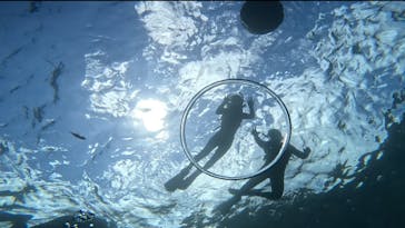 沖縄マリンサービス碧に投稿された画像（2025/9/1）