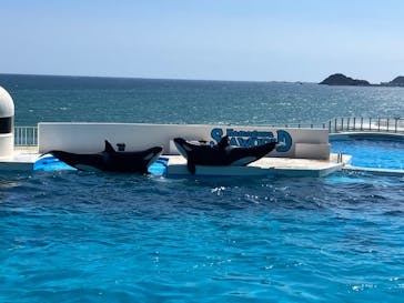 鴨川シーワールドに投稿された画像（2025/9/1）