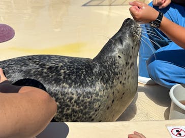 越前松島水族館に投稿された画像（2025/9/1）