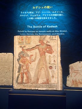 ACN ラムセス大王展 ファラオたちの黄金に投稿された画像（2025/9/1）