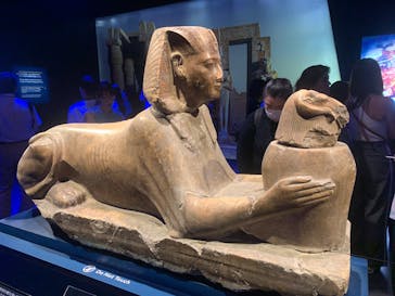 ACN ラムセス大王展 ファラオたちの黄金に投稿された画像（2025/9/1）