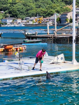 あわしまマリンパークに投稿された画像（2025/9/1）