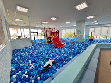 ピュアハートキッズランドコトエ流山おおたかの森に投稿された画像（2025/9/1）