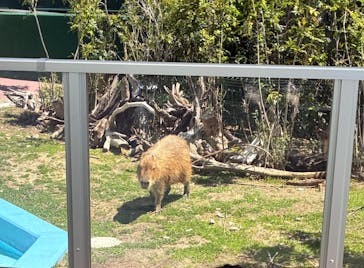 竹島水族館に投稿された画像（2025/9/1）