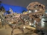 福井県立恐竜博物館に投稿された画像（2025/9/1）