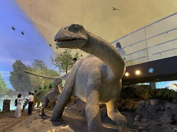 福井県立恐竜博物館に投稿された画像（2025/9/1）