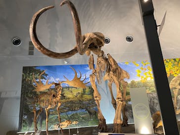 福井県立恐竜博物館に投稿された画像（2025/9/1）