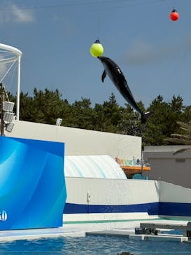 鴨川シーワールドに投稿された画像（2025/9/1）