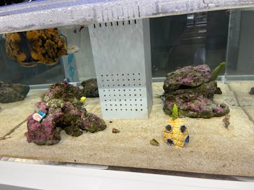 AOAO SAPPOROに投稿された画像（2025/9/1）