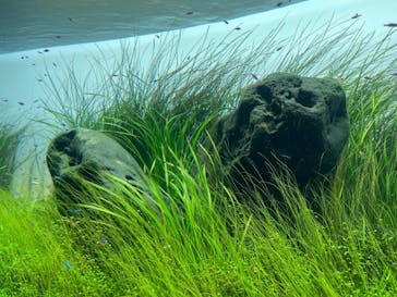 AOAO SAPPOROに投稿された画像（2025/9/1）