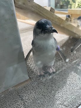 AOAO SAPPOROに投稿された画像（2025/9/1）