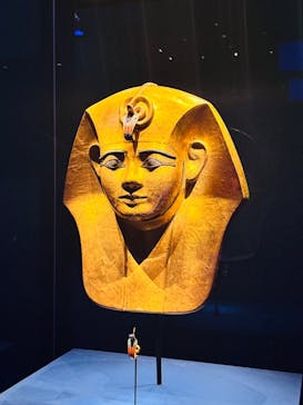 ACN ラムセス大王展 ファラオたちの黄金に投稿された画像（2025/9/1）