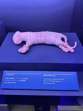 ACN ラムセス大王展 ファラオたちの黄金に投稿された画像（2025/9/1）