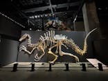 福井県立恐竜博物館に投稿された画像（2025/9/1）