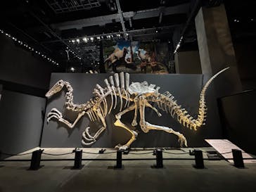 福井県立恐竜博物館に投稿された画像（2025/9/1）