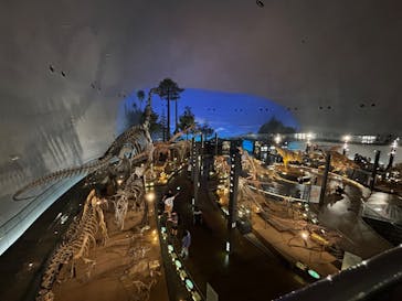 福井県立恐竜博物館に投稿された画像（2025/9/1）