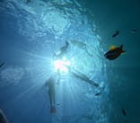 マリンクラブジジに投稿された画像（2025/9/1）